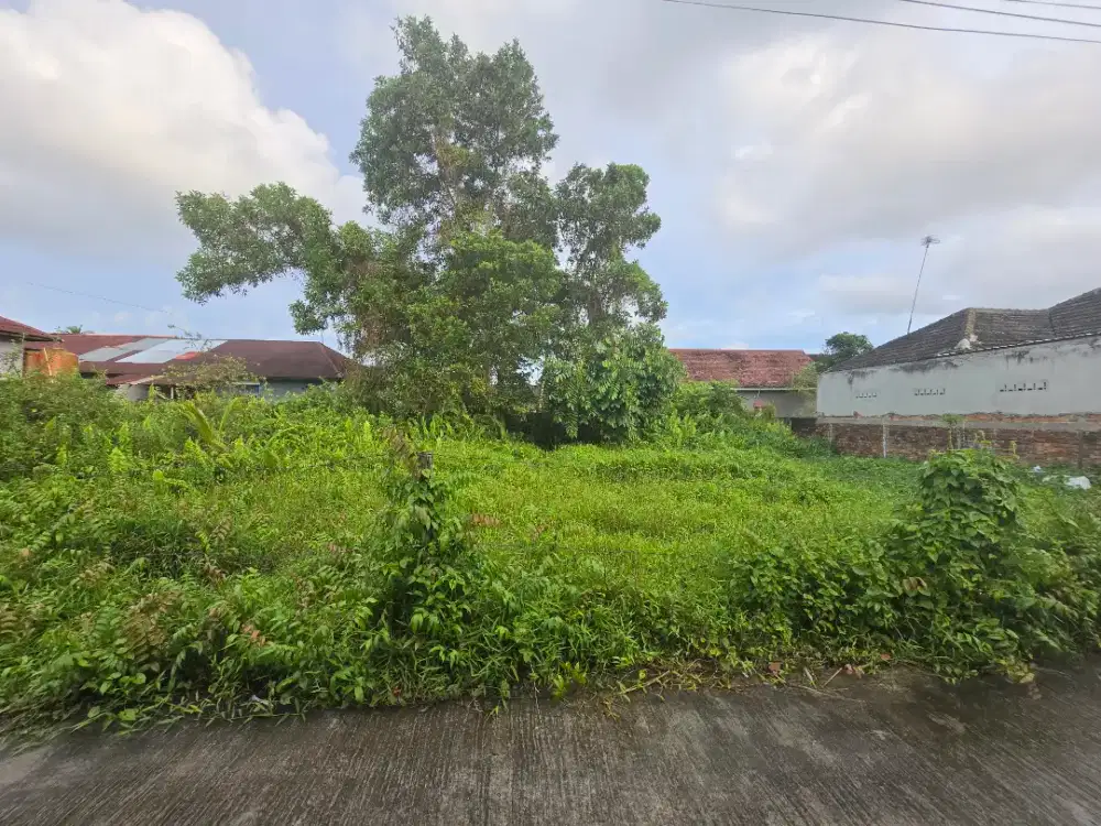 Dijual tanah berlokasi di daerah manggar