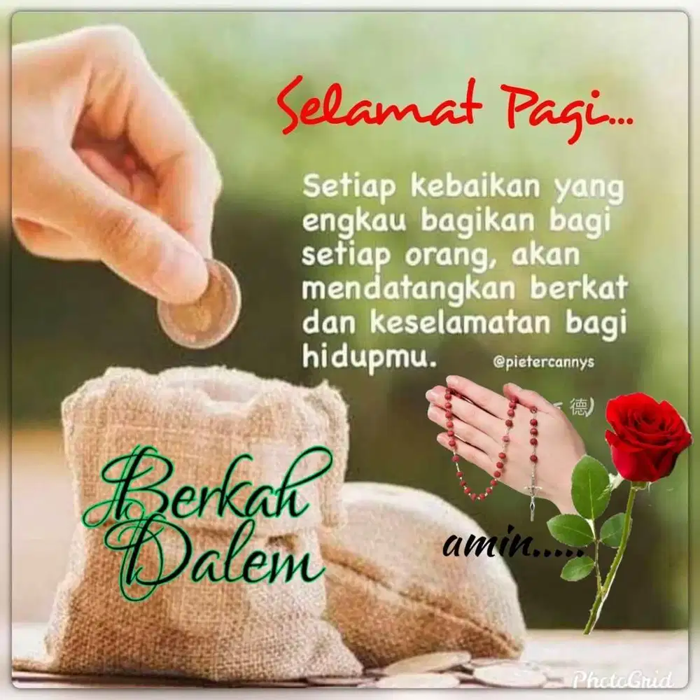 Bibi cuci yang berpengalaman