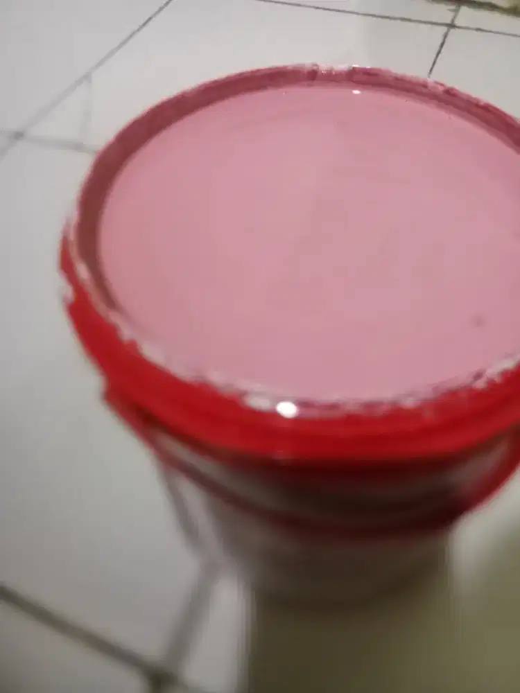 Cat tembok nipon paint