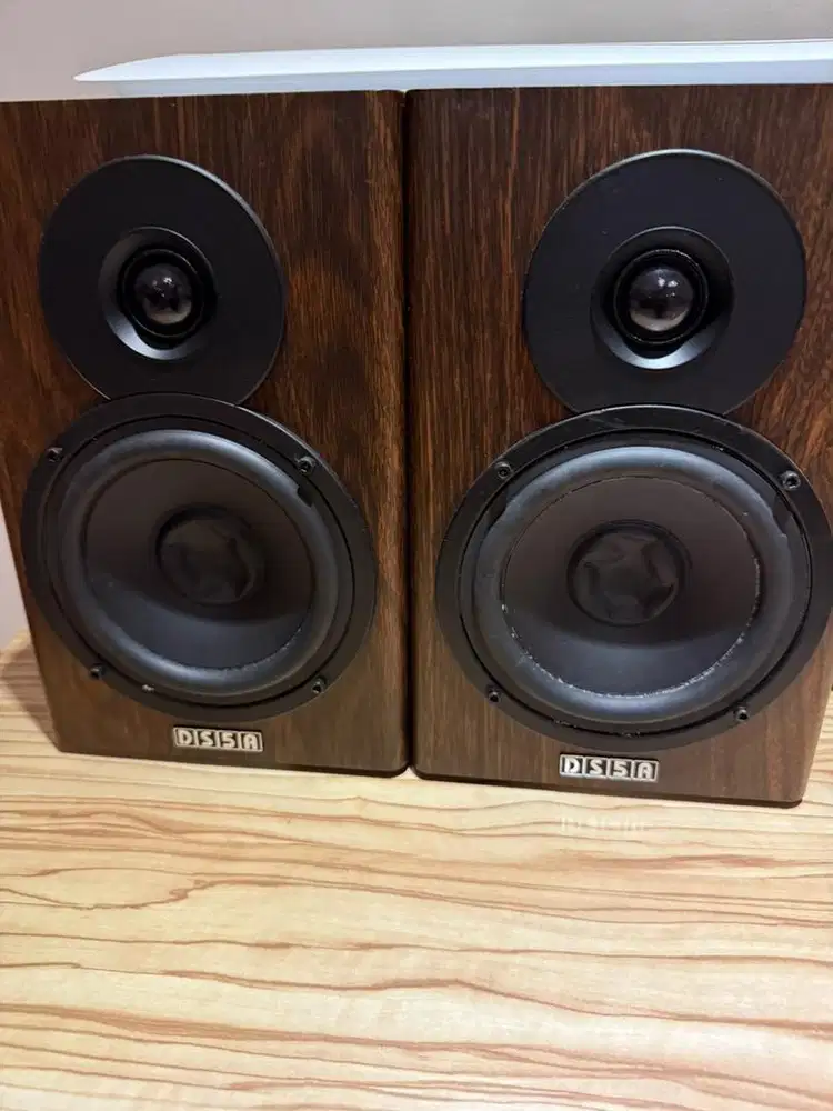 Speaker monitor DS5A bekas kondisi penyok