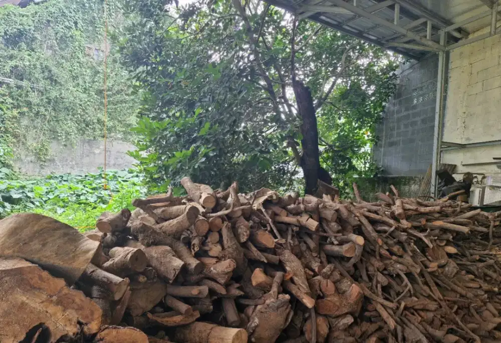 Jual Kayu Rambutan Asli Per Mobil Untuk Ngasap Daging Harga Grosir