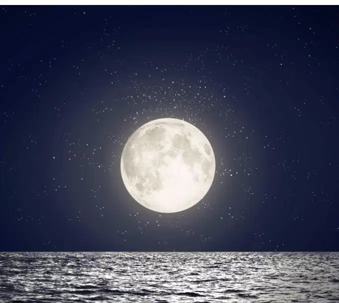 LOWONGAN ASISTEN PRIBADI (PRIA)