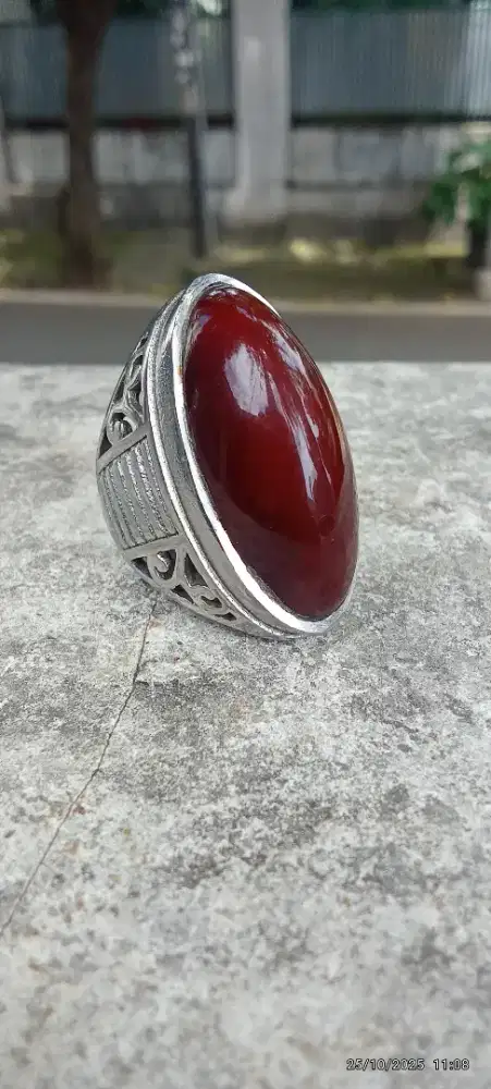 Di jual atau barter burung