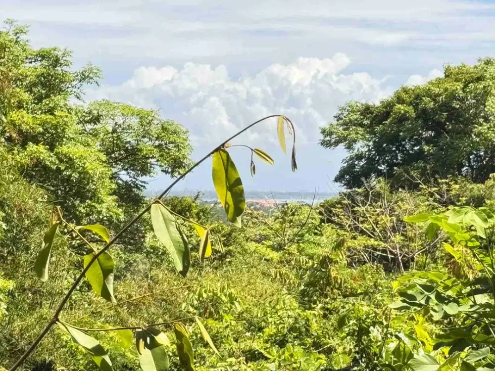 Tanah View Laut Premium di Kampial Nusa Dua Bali