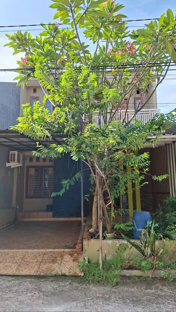 Sewa rumah 2 lt minimalis