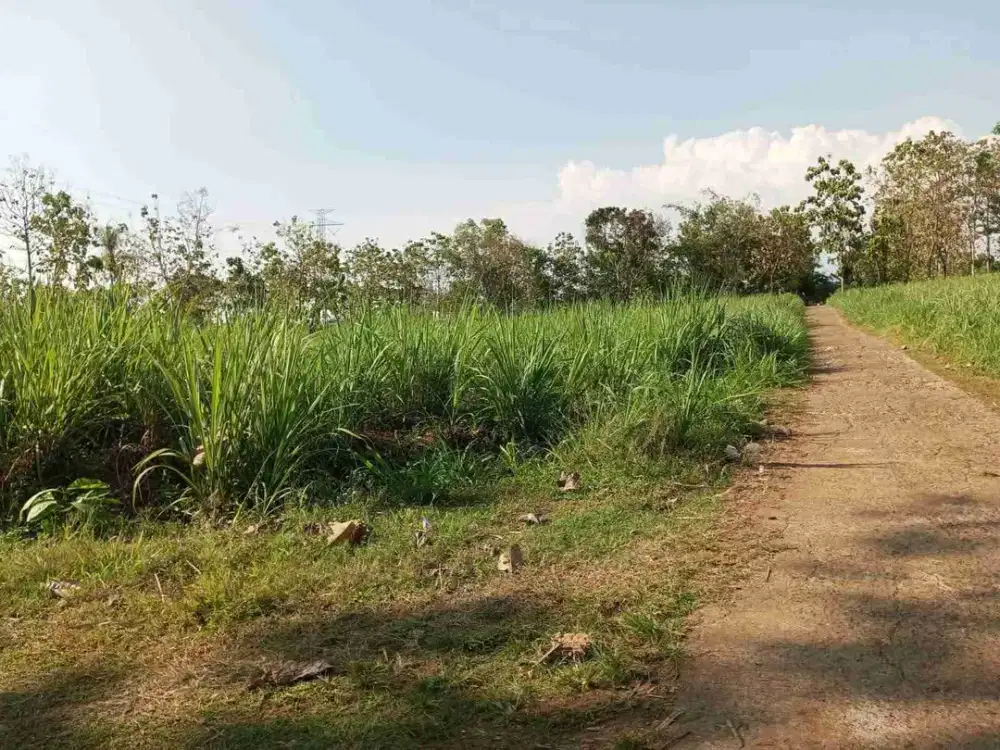 jual tanah datar karangayar Deket kota pojok mojogedang/delingan