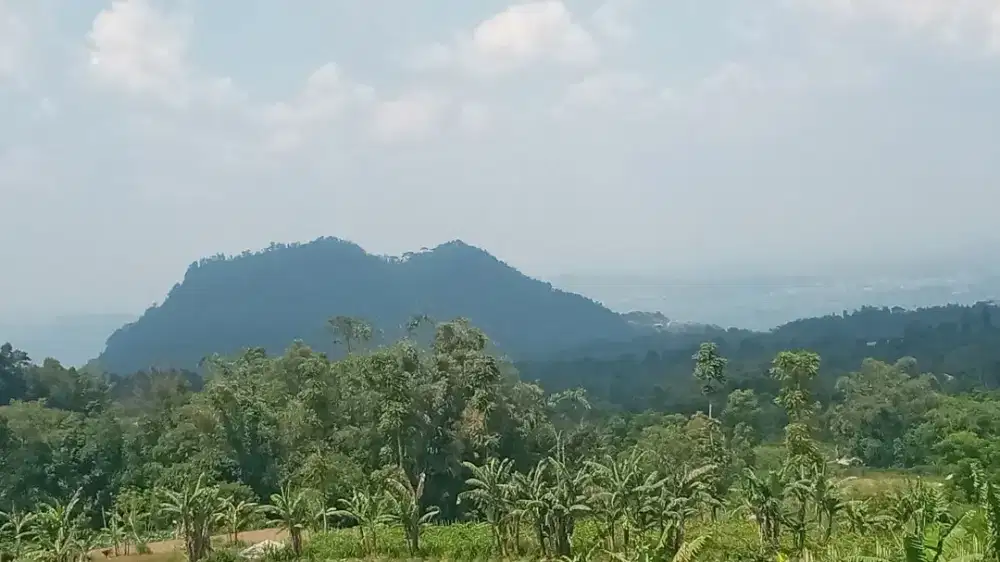 Jual Tanah di kopeng