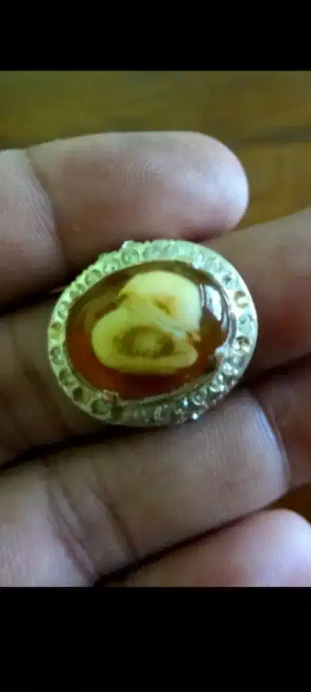 Batu Motif Gambar ANAK AYAM / ANGKA 8 Alami