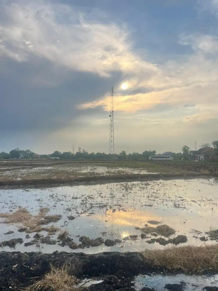 Sawah produktif 3x panen dekat Jalan besar