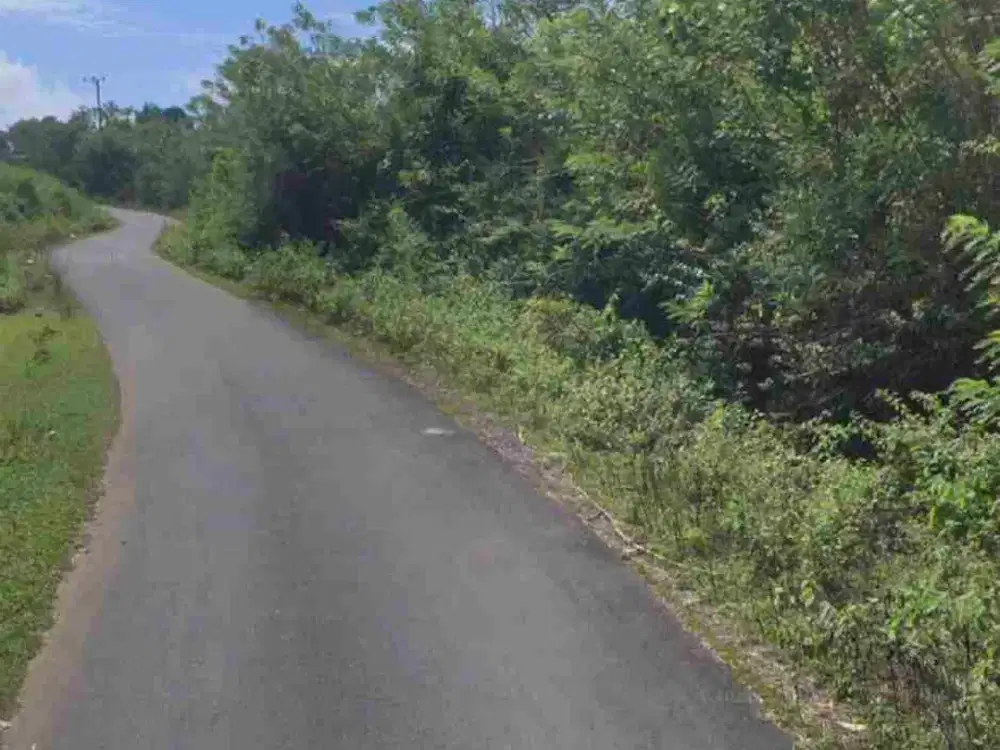 Di jual Tanah cocok peternakan & perkebunan