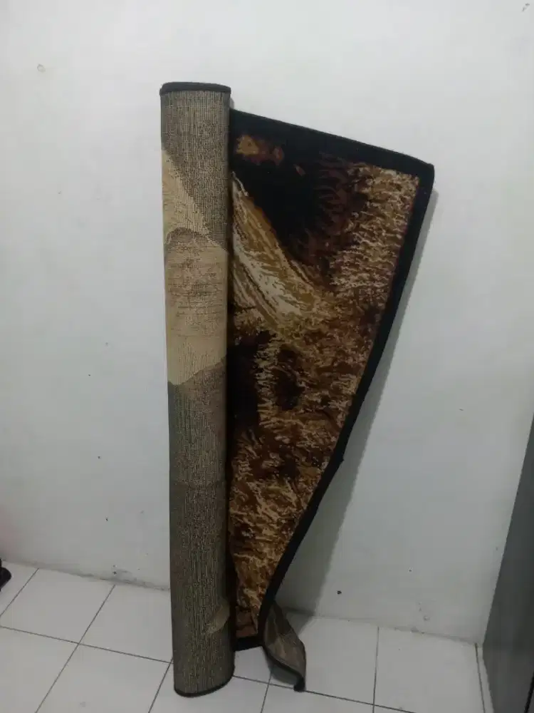 karpet lantai bulu