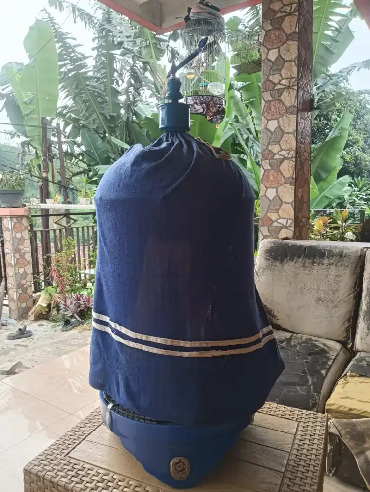 lovebird rajin bunyi