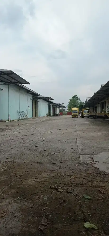 Disewakan gudang tanjung api api