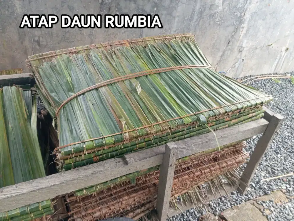 Atap daun rumbia