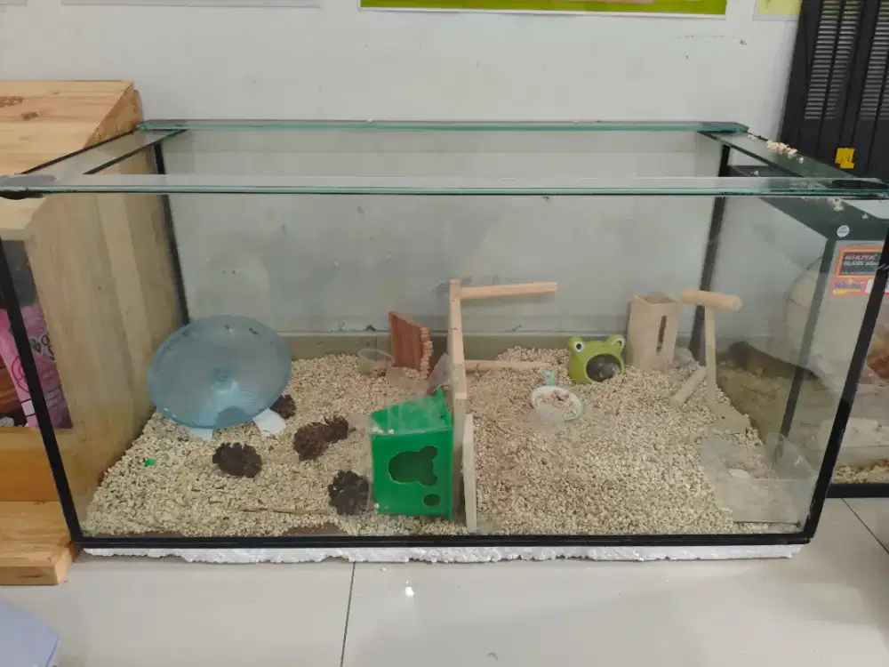 Adopsi Hamster dan Aksesoris