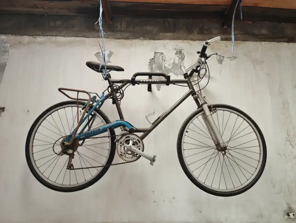 DIJUAL SEPEDA PROFLEX BUILD-UP