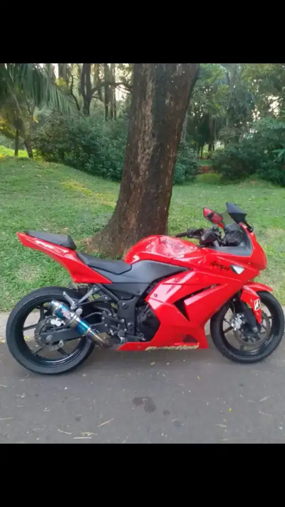 Kawasaki Ninja 250 2009