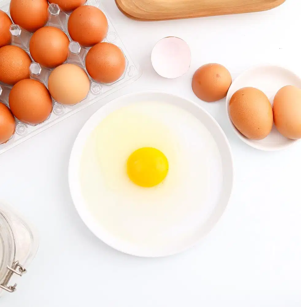 Staff Packing & Cleaning Gudang Telur