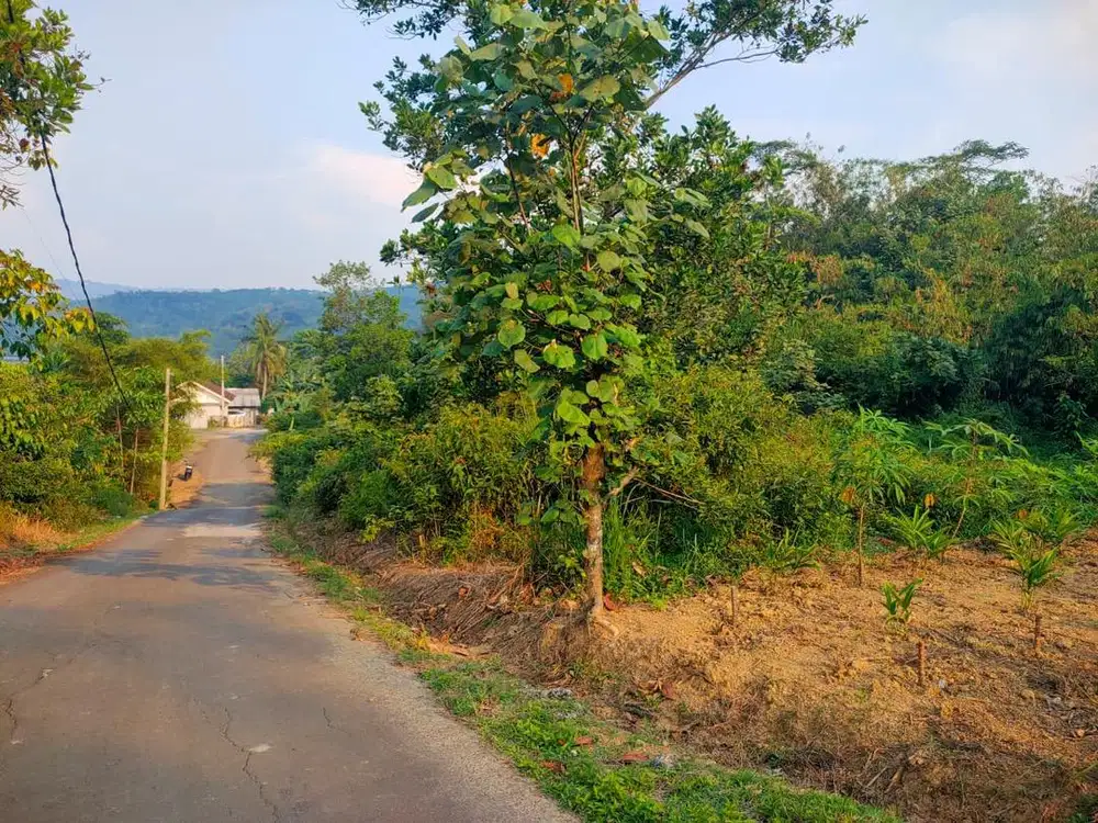 Lokasi Buat Villa atau ternak Berkebun d jonggol bogor