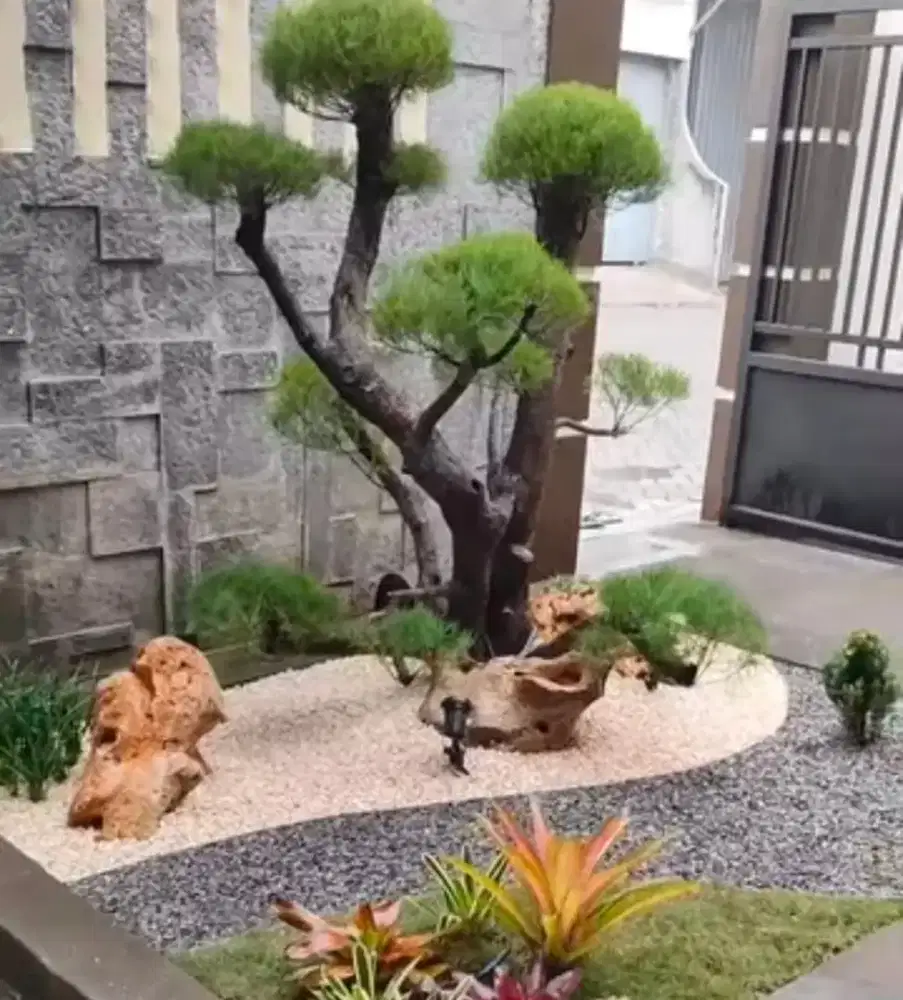 Pasang taman rumah jual rumput tanaman hias dan pembuatan taman