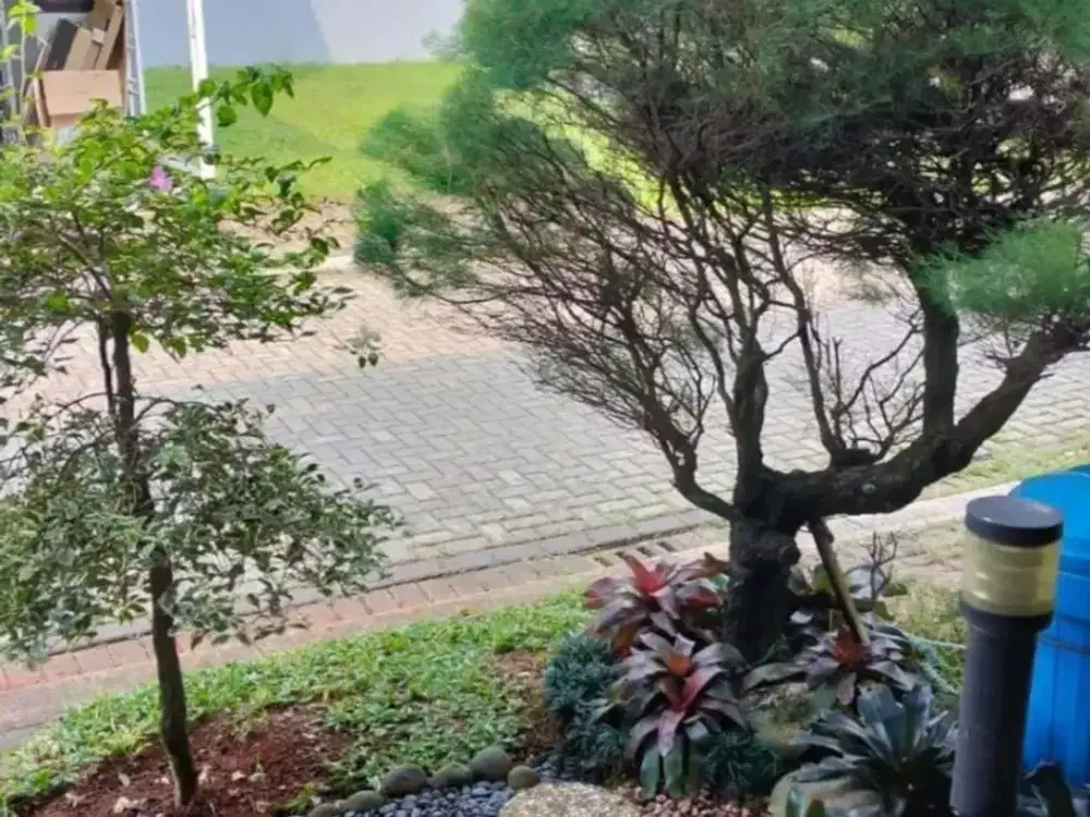 Rumah The Mozia AMARINE BSD Semi Furnished