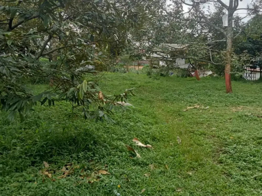 Dijual Tanah Bisa Untuk Dibangun Industri Di Weleri Kendal