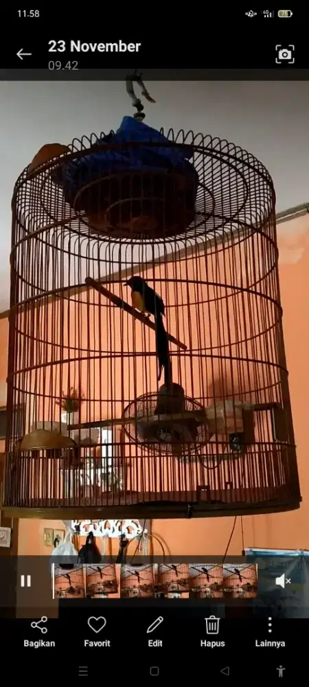 Jual murai.harga nego