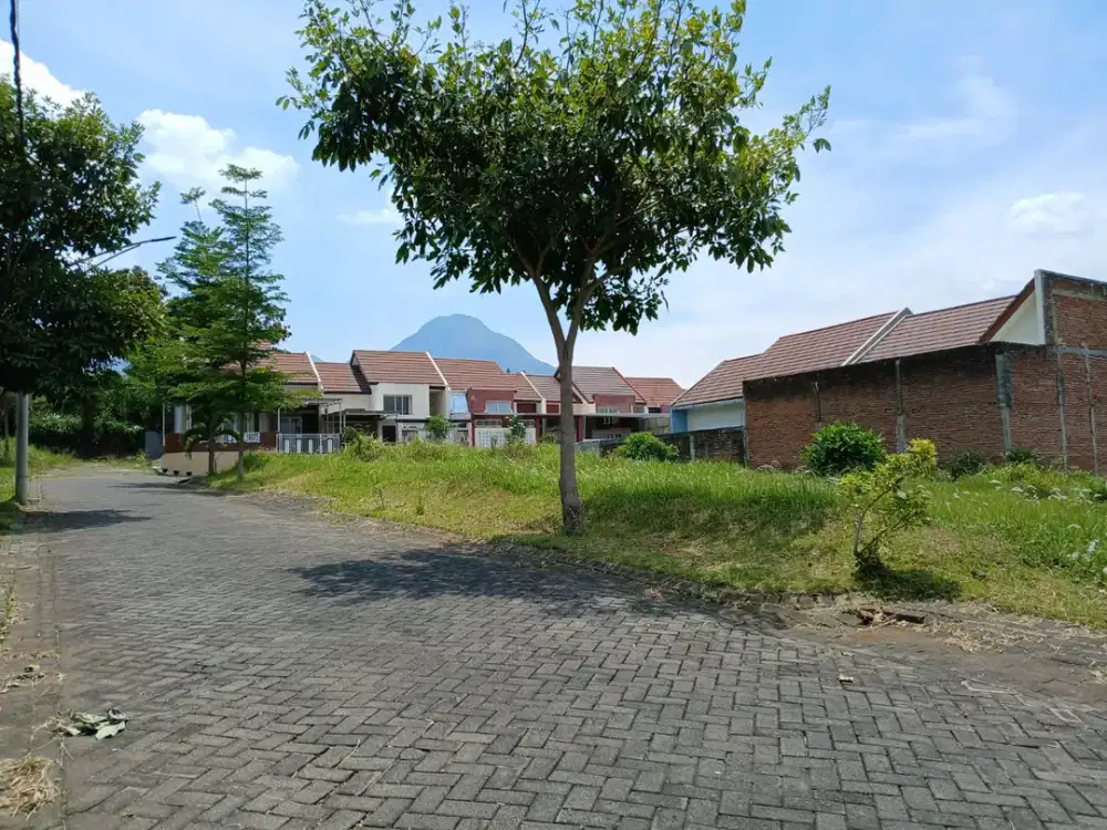 Tanah Kavling Potensial Kost Sebelah Kampus UIN 3 Malang, Bisa Diangsur