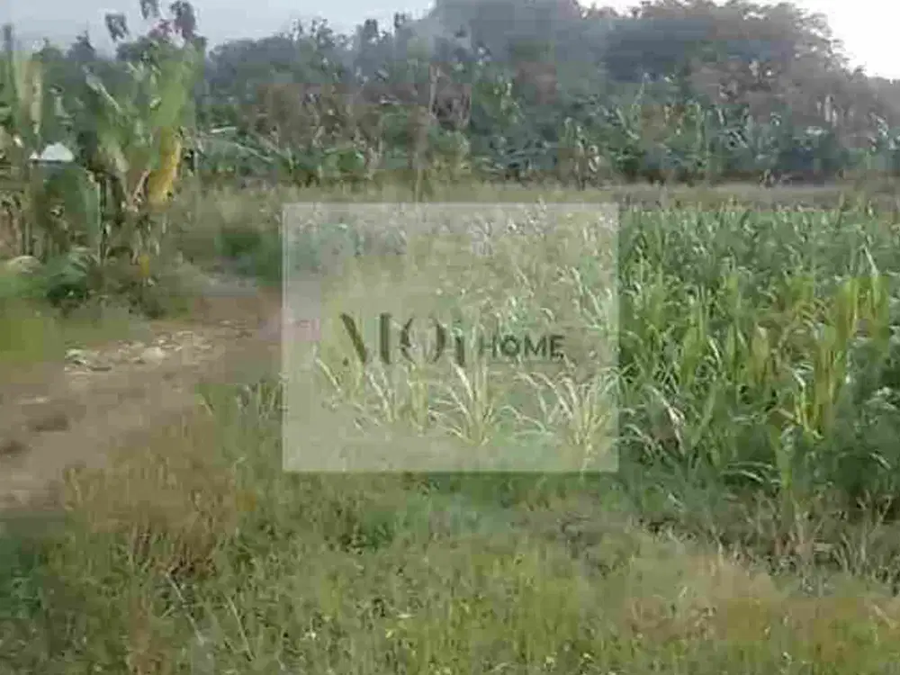 BU MURAH TANAH SIAP BANGUN JABUNGAN TEMBALANG DEKAT TOL JATINGALEH SEMARANG