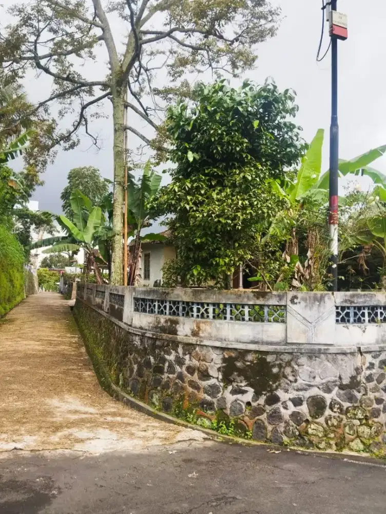 Tanah murah kemuning