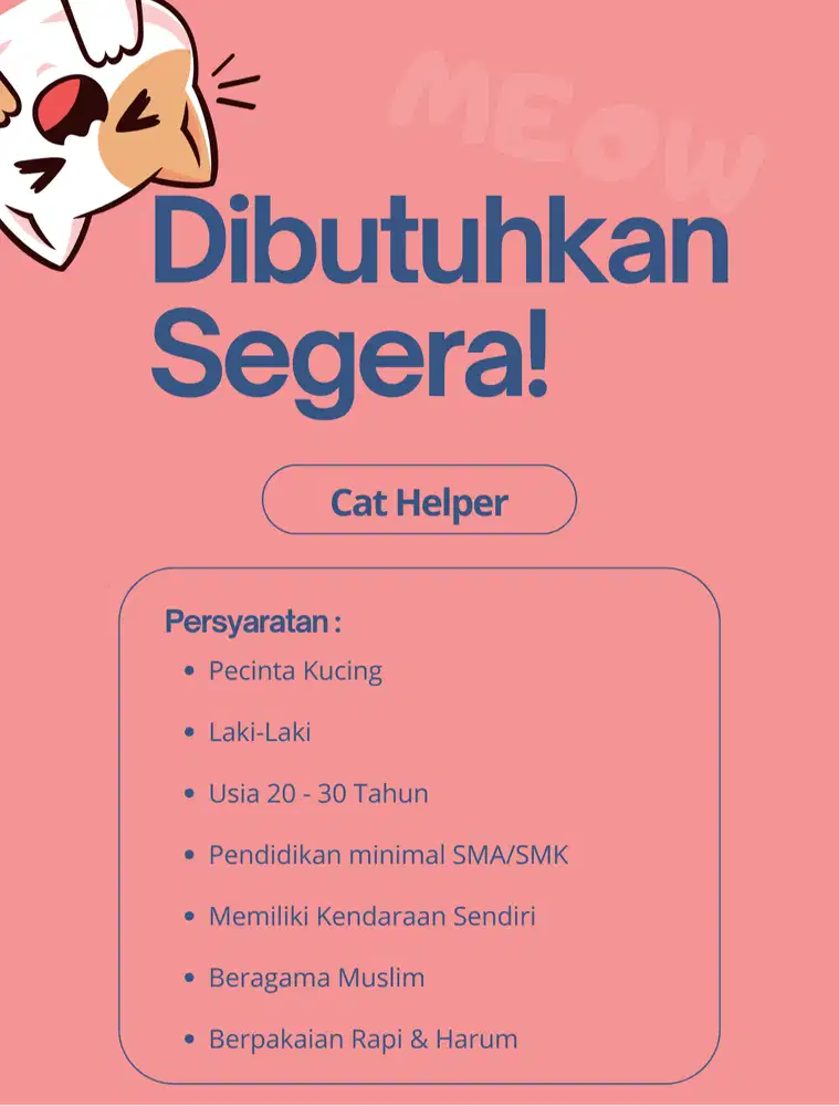 Segera Dicari ! Cat Helper