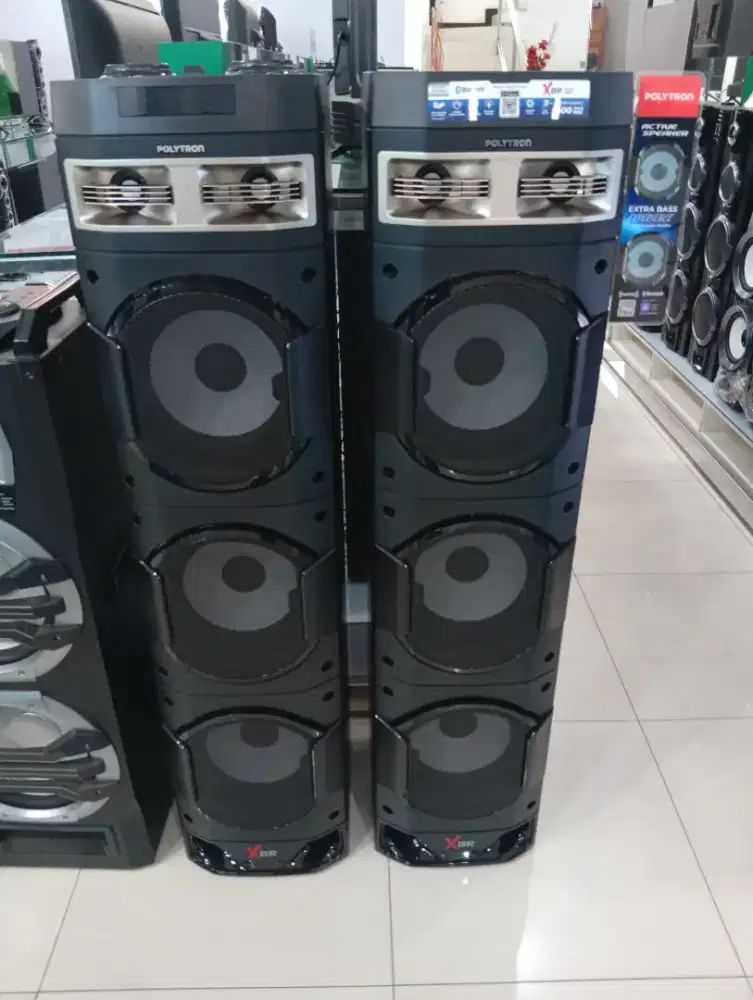 Speaker Polytron 10 inch, PAS10DF38