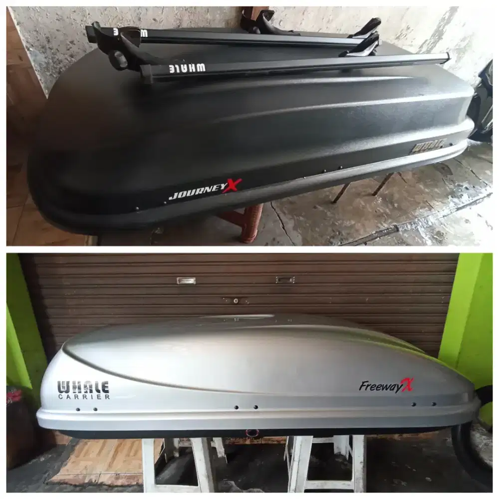 Roofbox whale journey x + freeway x