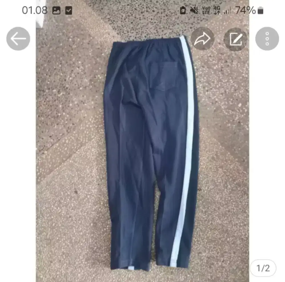 Celana training 85%baru