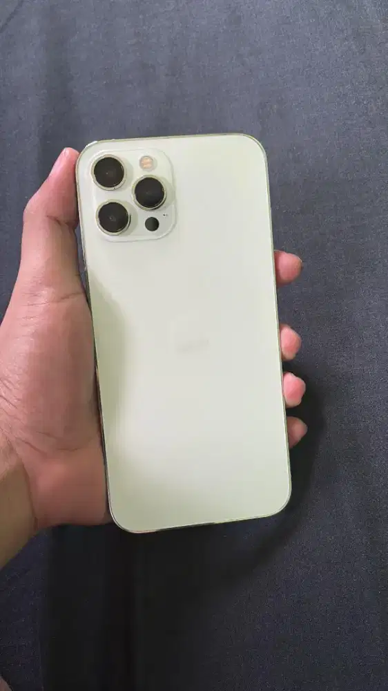 IPHONE 12 PROMAX 256GB (ex inter)