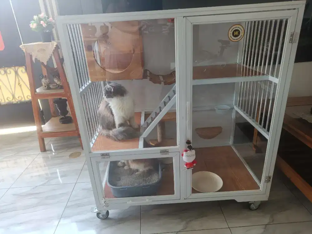 Jual kandang kucing  + kucing