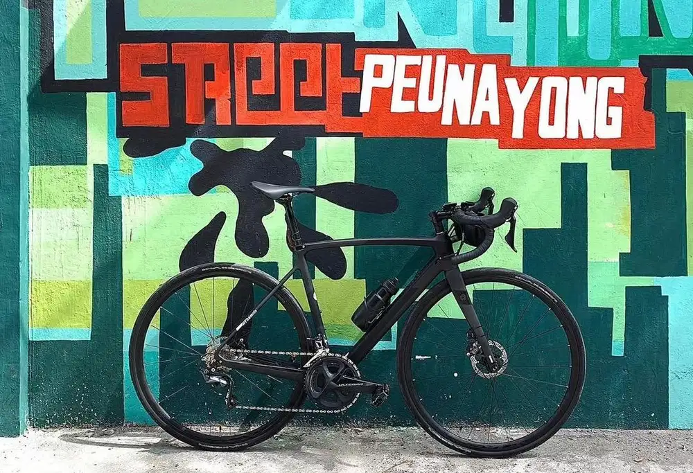 Roadbike polygon strattos s8