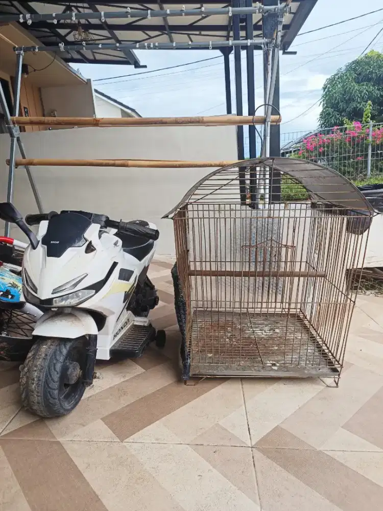 Kandang Burung Besi