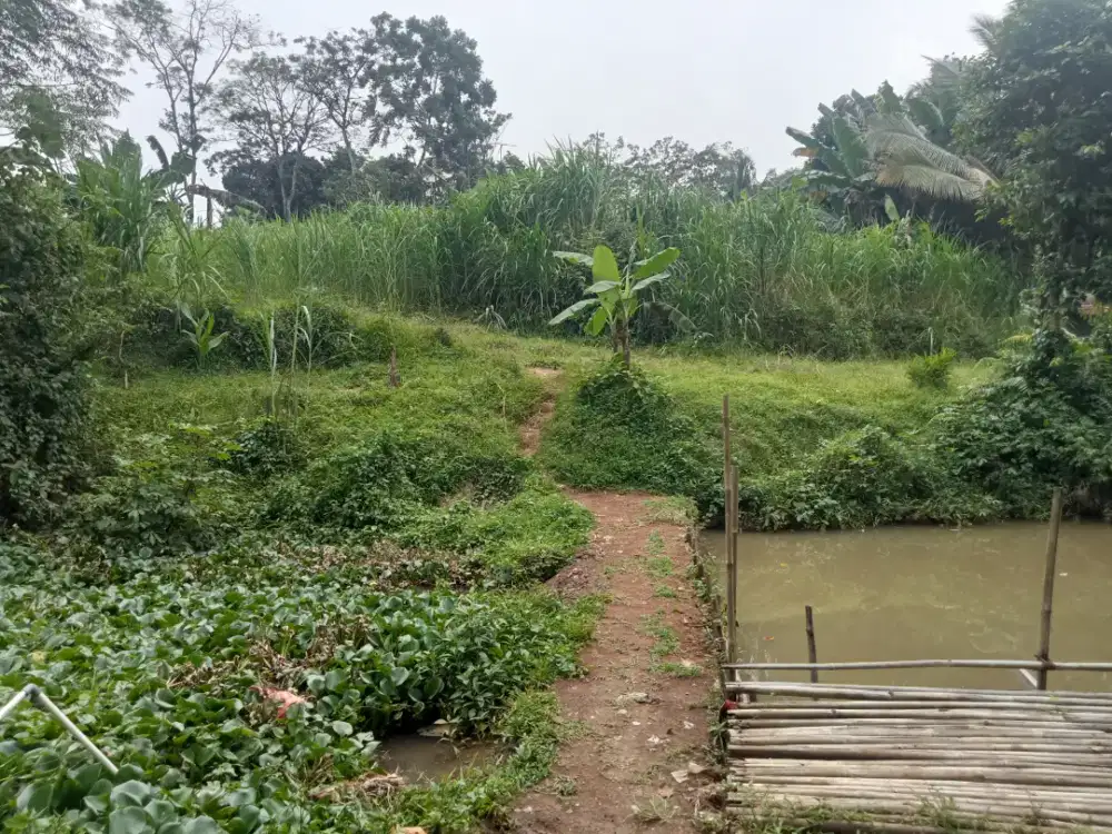 Di jual lhan tanah darat lt 1400 mtr lokasi masuk mobil