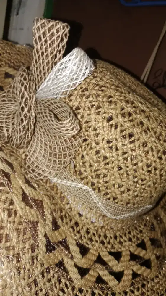 Topi Jerami (Straw Hat)