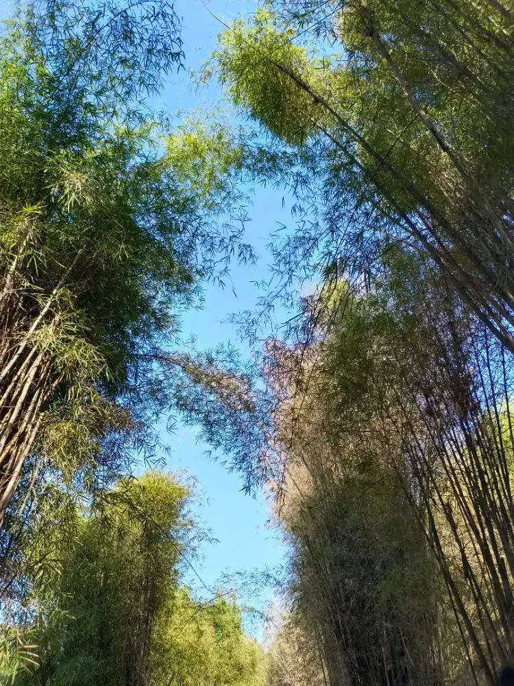 DICARI PEGAWAI UNTUK BANTU DIWARUNG