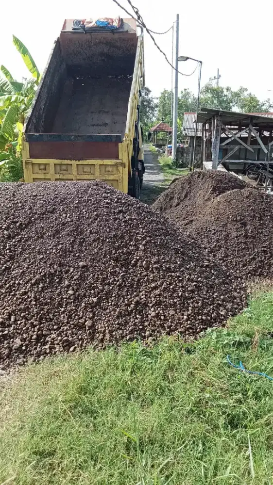 Biskos, koral biskos