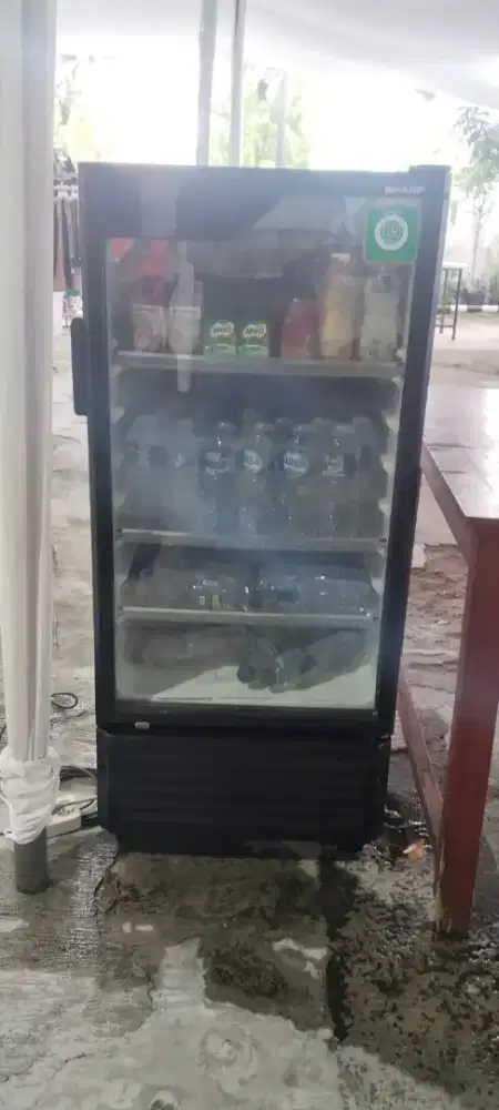 Showcase Sharp SCH170FS