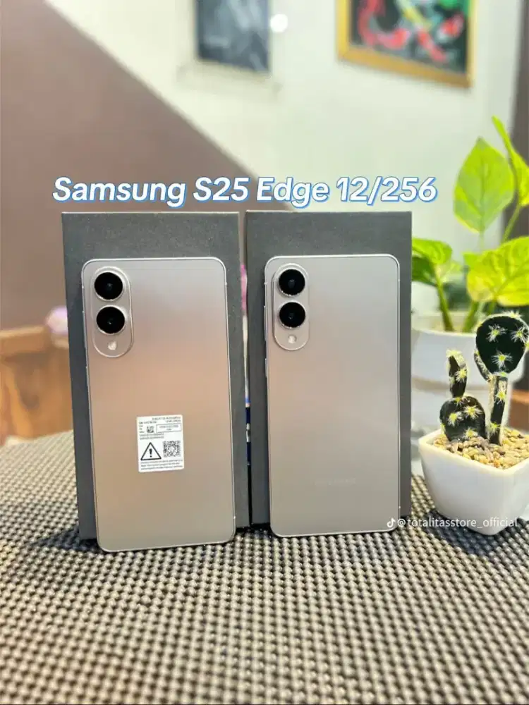 SAMSUNG S25 EDGE SILVER