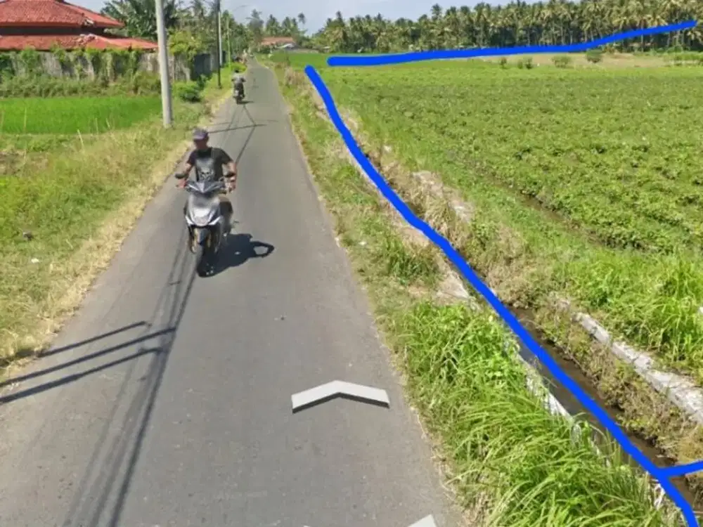DIJUAL LAHAN SAWAH POTENSIAL - SOBÓ, BANYUWANGI