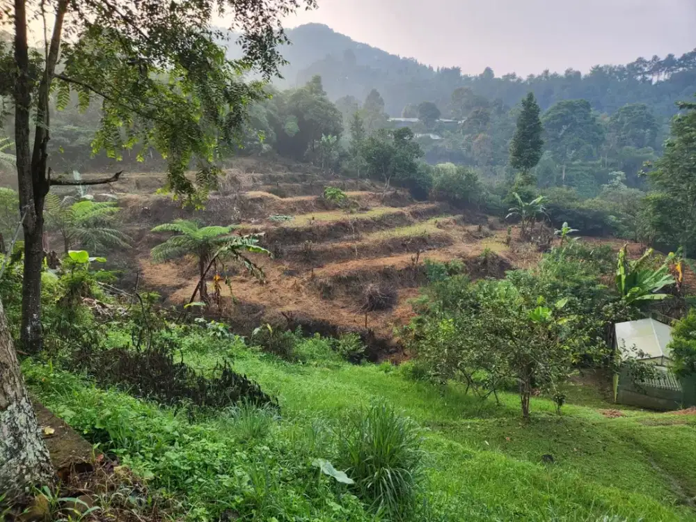 DIJUAL LOKASI ADA ALIRAN SUNGAI  PEGUNUNGAN DI MEGAMENDUNG PUNCAK BOGOR