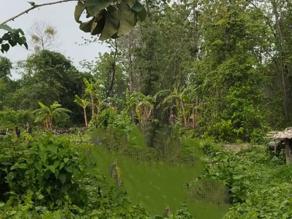 Jual Tanah siap bangun  Jl. Bangkingan  Surabaya barat