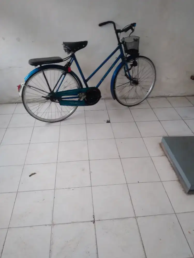 Sepeda the phonik by china  uk 20