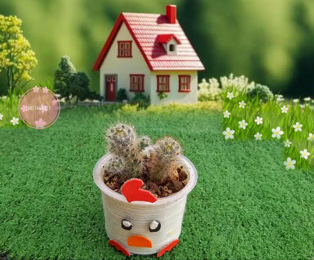 Kaktus Mammillaria & Pot Model Ayam