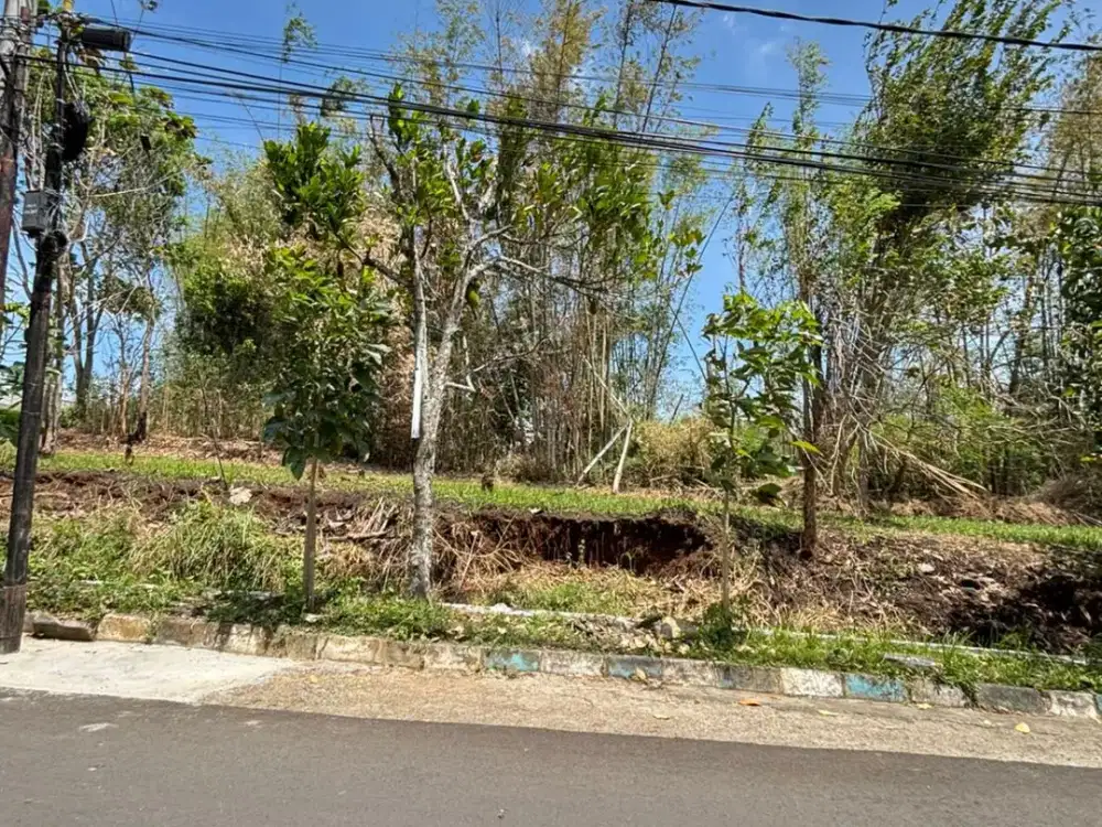 Promo Akhir Tahun Tanah Landungsari Cocok Untuk Kost Sebelah Pondok Thursinah